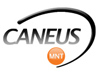 Caneus logo