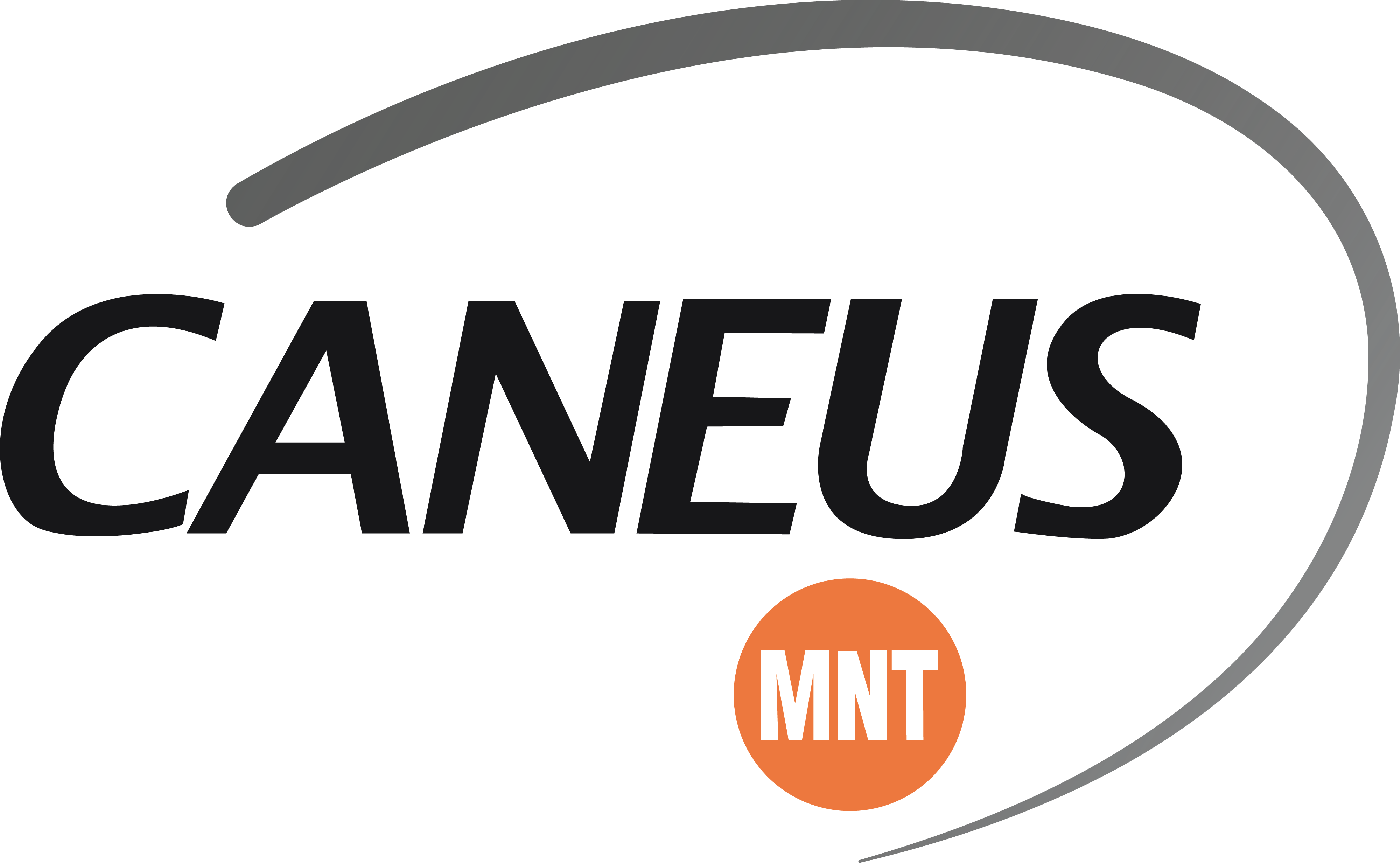 CANEUS International Logo